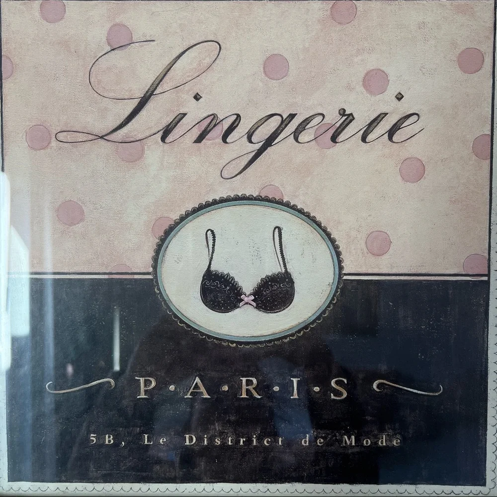 Shabby Chic Lingerie Paris 15” X 15” Framed Art